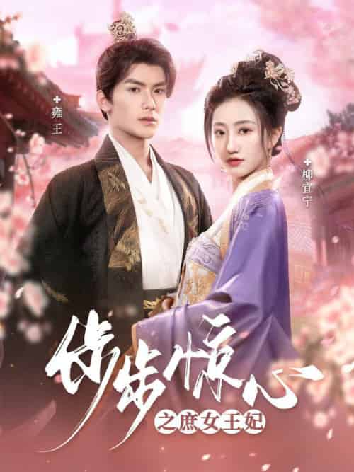 步步惊心之庶女王妃(66集全)吴元成&鲍治玥-搜外项目网