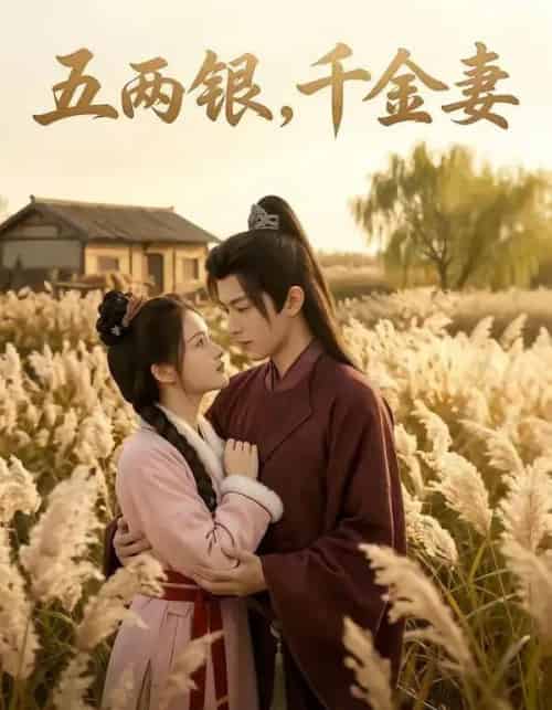 五两银，千金妻（60集全）AI-搜外项目网