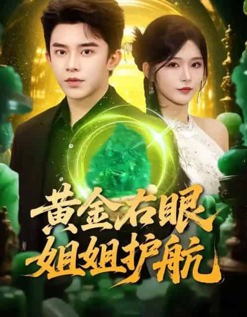黄金右眼，姐姐护航（81集全）杨妍＆委佳宇-搜外项目网
