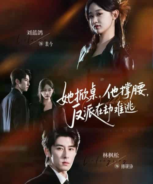 她掀桌，他撑腰，反派在劫难逃（71集全）林枫松＆刘蓝鸽-搜外项目网
