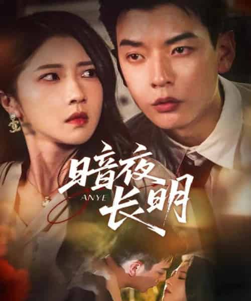 暗夜长明（67集全）杨川北＆张启璇-搜外项目网