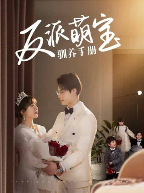 反派萌宝驯养手册（82集全）刘叁肆＆徐兰迪-搜外项目网