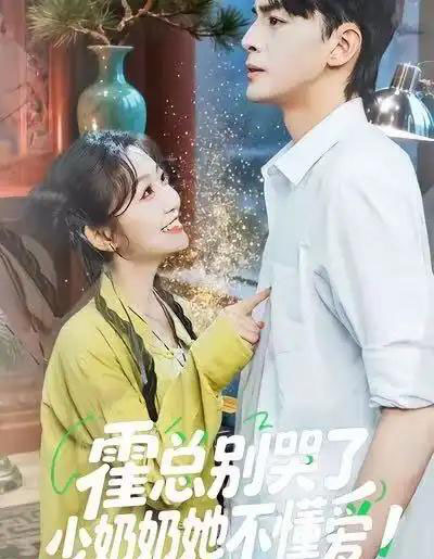 霍总别哭了少奶奶她不懂爱(50集全)卞菁&徐文聪-搜外项目网