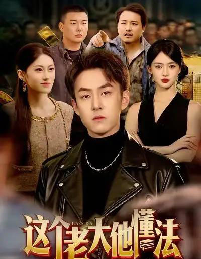 这个老大他懂法(100集全)梁超&董秋怡-搜外项目网