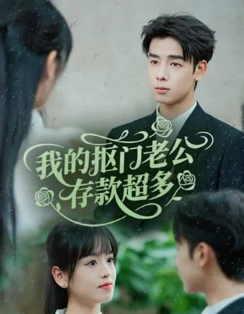 我的抠门老公存款超多＆抠夫钱太多逃婚进金窝（55集）邓靖-搜外项目网