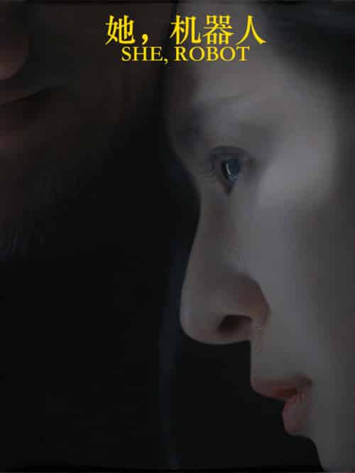 她，机器人（23集全）-搜外项目网