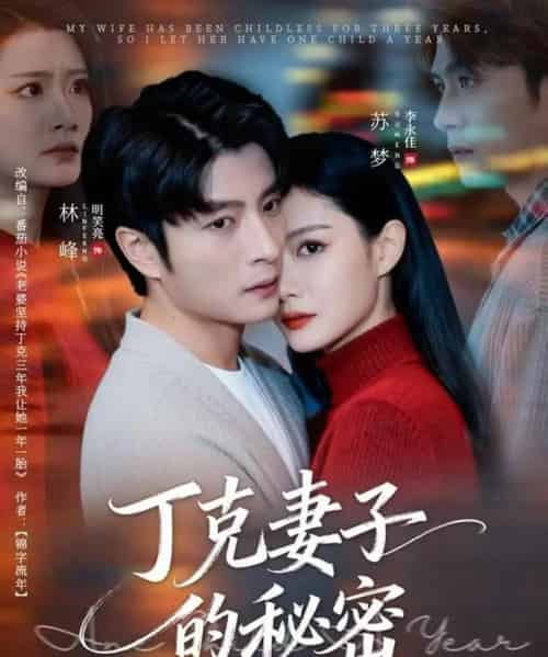丁克妻子的秘密（60集全）李永佳＆明笑亮-搜外项目网