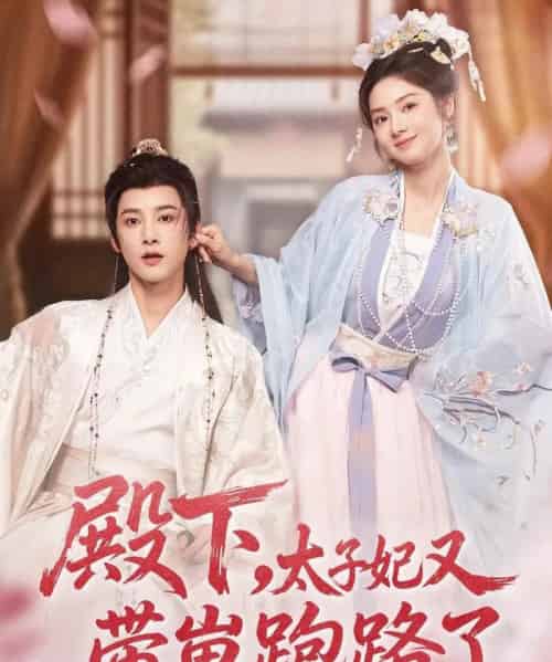 殿下，太子妃又带崽跑路了（70集全）冯俊熙＆刘容榕-搜外项目网