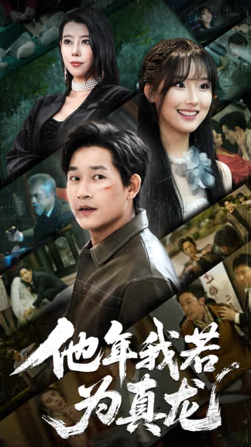 他年我若为真龙（76集）张旋-搜外项目网