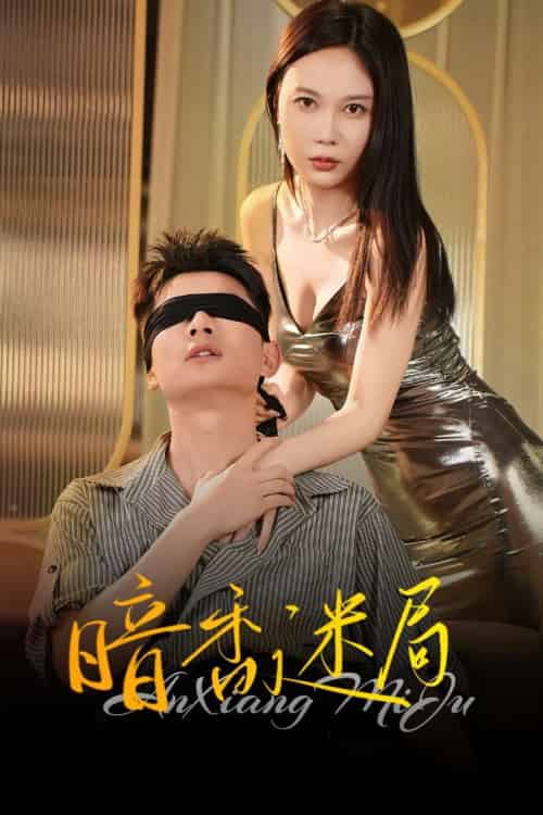 暗香迷局（50集）孙昊＆孙梦蝶-搜外项目网