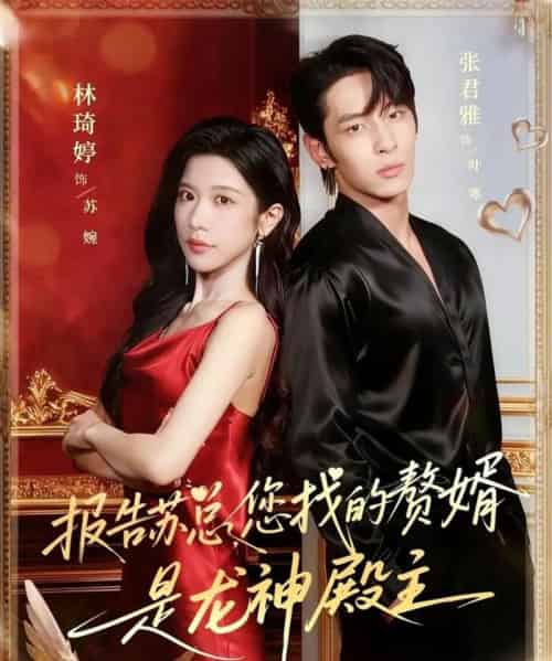 报告苏总，您找的赞婿是龙神殿主（72集全）张君雅＆林琦婷-搜外项目网