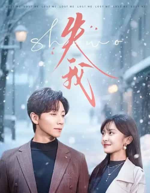 失我(70集全)宋晨&程琳淼-搜外项目网