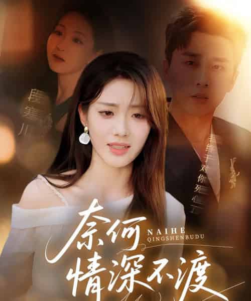 奈何情深不渡（72集）梅洋＆邢航铭-搜外项目网