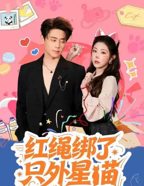 红绳绑了只外星喵（59集全）尹一博＆李逸璇-搜外项目网