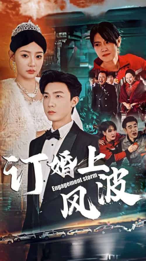 订婚风波&订婚上风波(49集全)清河&陈洁蕾-搜外项目网