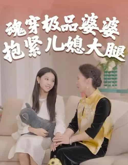 魂穿极品婆婆，抱紧儿媳大腿（42集全）黄燕＆宇澄-搜外项目网