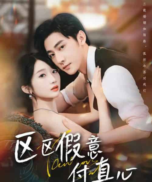 区区假意付真心(80集)于轩鸿灏&田欣雅-搜外项目网