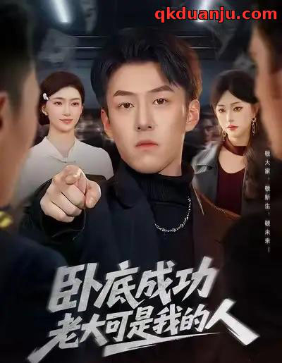 卧底成功老大可是我的人(99集全)梁超&涂鑫艺-搜外项目网