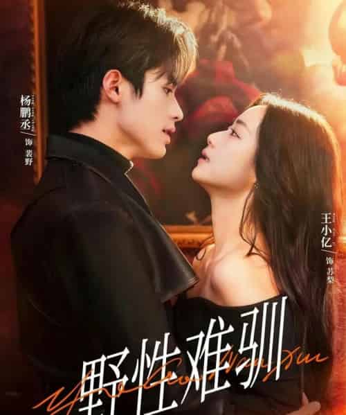 野性难驯＆驯野2（81集全）杨鹏丞＆王小亿＆张旋＆刘宇航＆刘夕语-搜外项目网