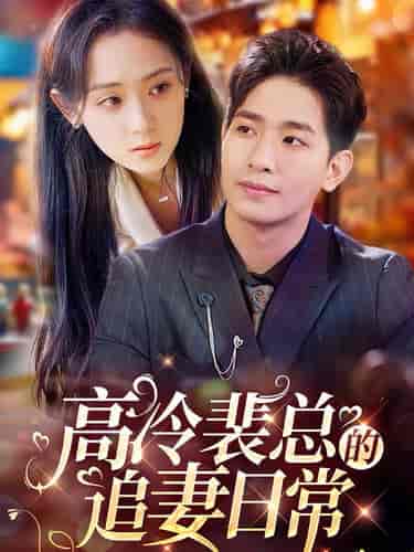 高冷裴总的追妻日常（49集全）-搜外项目网