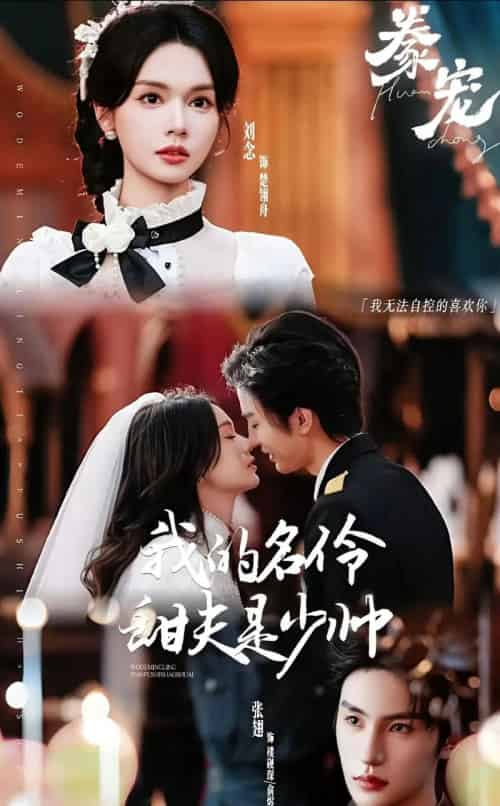 豢宠：我的名伶甜夫是少帅（68集全）张翅＆刘念-搜外项目网