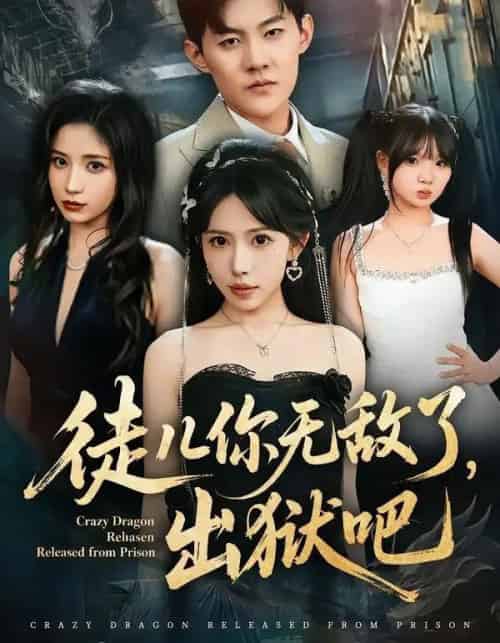 徒儿你无敌了,出狱吧(80集全)蒋开鑫&张胜寒-搜外项目网