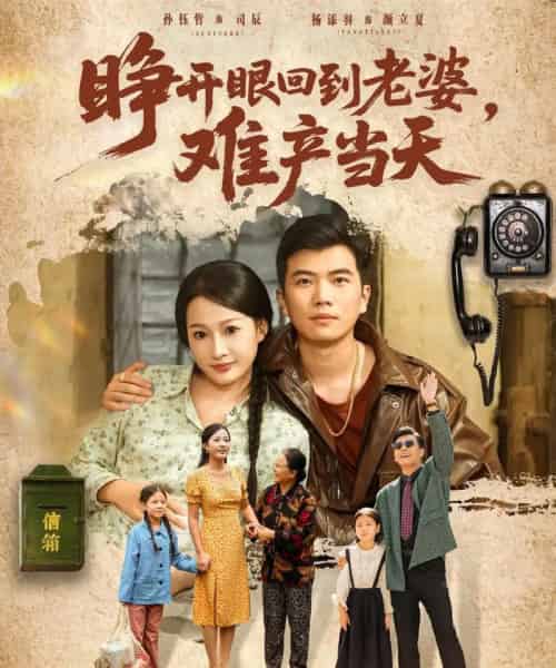 睁开眼,回到老婆难产当天(83集全)孙钰哲&杨添羽-搜外项目网