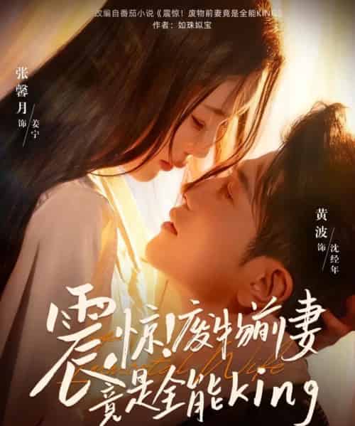 震惊！废物前妻竟是全能King（80集全）黄波＆张馨月-搜外项目网
