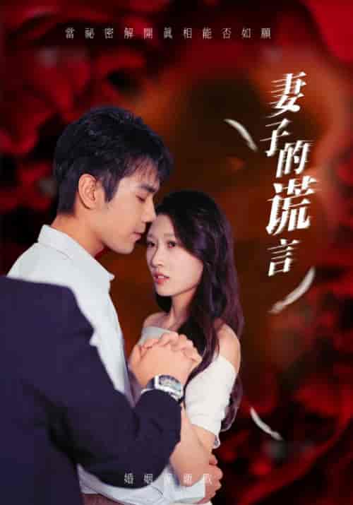 妻子的谎言（41集全）邵宇＆林诗诗-搜外项目网