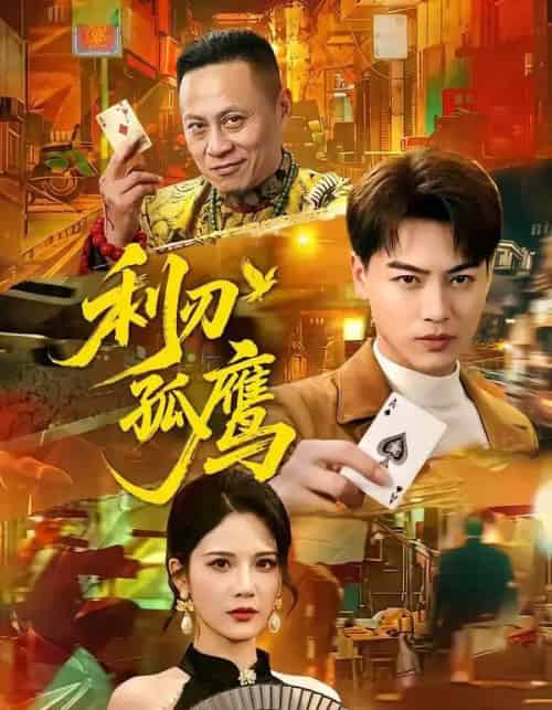 利刃孤鹰(60集全)都钊&杨柳-搜外项目网