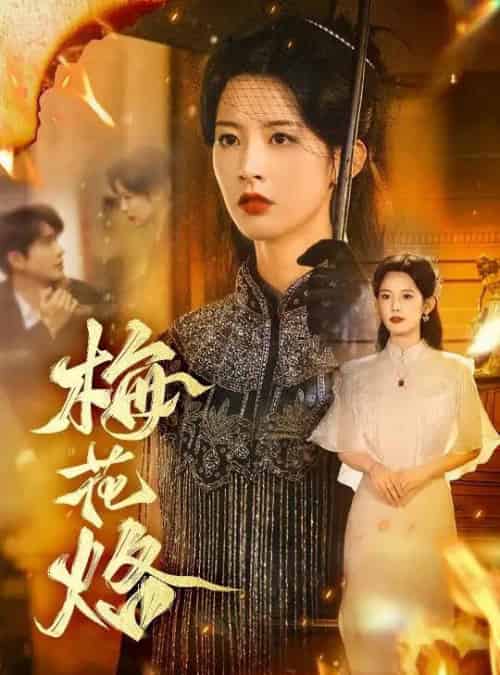 梅花烙（61集全）穆庭予＆谭雯文-搜外项目网