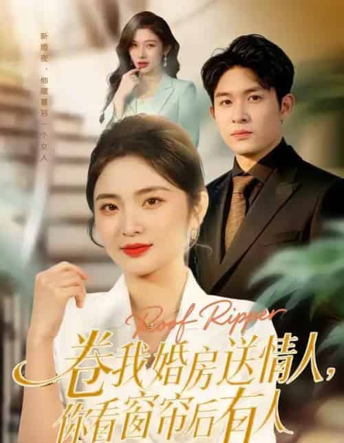 卷我婚房送情人，你看窗帘后有人（43集全）常珂欣＆康程-搜外项目网