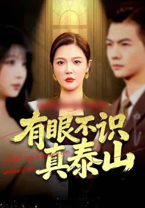 有眼不识真泰山（75集全）李明＆周霖-搜外项目网