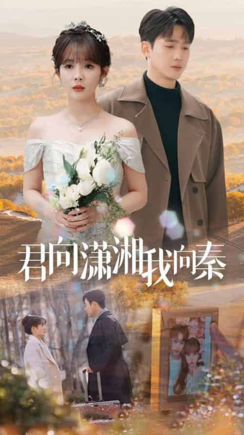 君向潇湘我向秦（30集全）孙艺荀＆赵美旋-搜外项目网