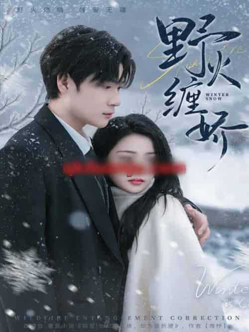 野火缠娇（66集全）胡金池＆刘苗苗-搜外项目网