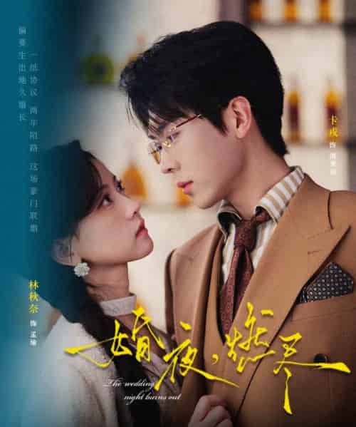 婚夜,燃尽(72集全)卡戎&林秋奈-搜外项目网