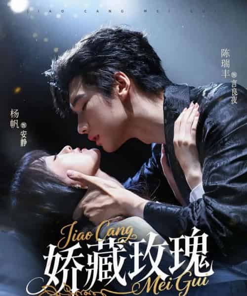 娇藏玫瑰(72集)杨帆&陈瑞丰-搜外项目网