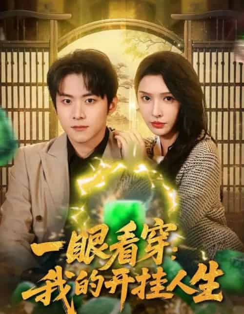 一眼看穿我的开挂人生（80集全）刘金妍＆李俊良-搜外项目网