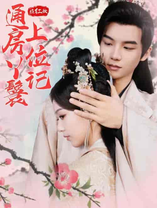 照红妆通房丫鬟上位记(85集全)黄子淇&赵昱萱-搜外项目网