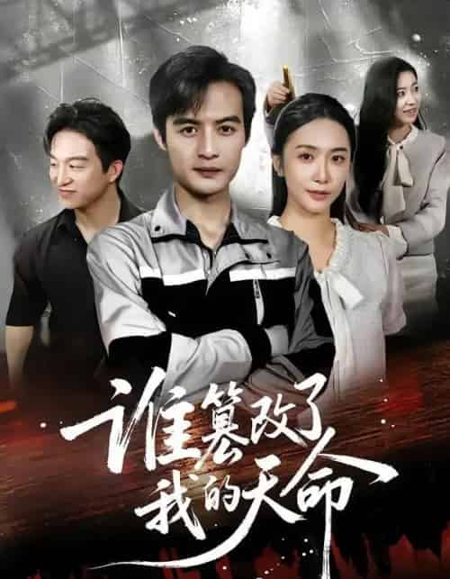 谁篡改了我的天命(60集全)胡悦&于钊-搜外项目网