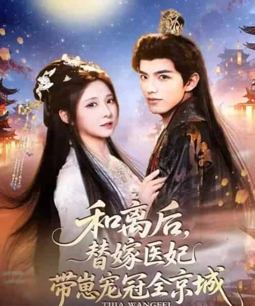 和离后，替嫁医妃带崽宠冠全京城（80集全）李淑元＆崔晓曼-搜外项目网