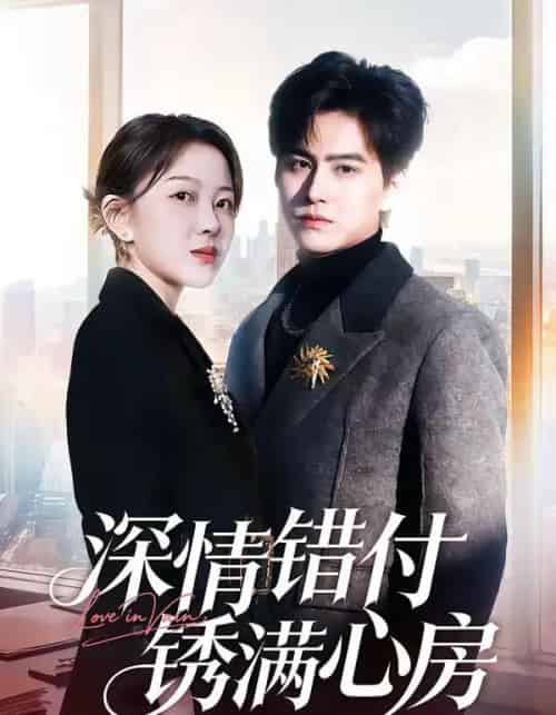 深情错付锈满心房（60集全）苏倚＆宗沐一-搜外项目网