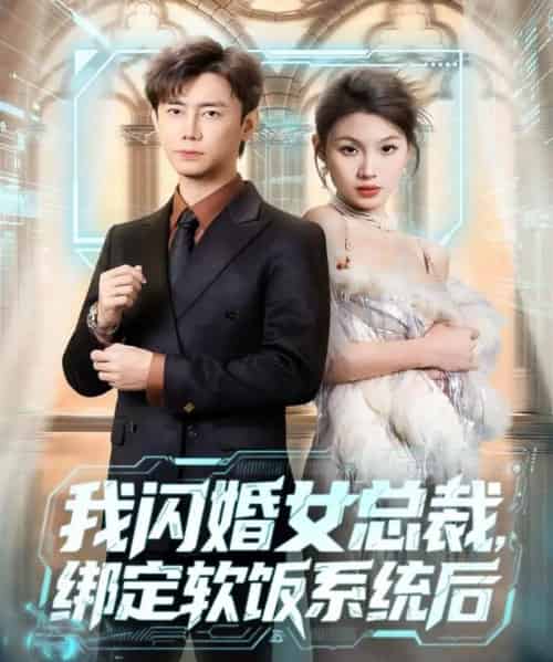 我闪婚女总裁绑定软饭系统后（73集全）李咏昊＆黄盈-搜外项目网