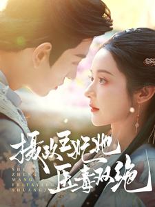 摄政王妃她医毒双绝（80集全）王嘉懋＆觅七-搜外项目网