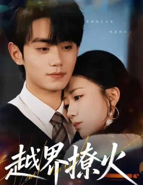 越界撩火（64集全）钟政＆何怡婷-搜外项目网