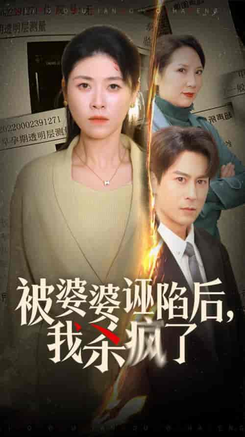 被婆婆诬陷后我杀疯了(30集全)诸玲颖-搜外项目网