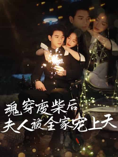 魂穿废材后夫人被全家宠上天(79集全)左铭&伍姣-搜外项目网