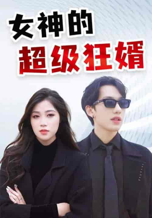 女神的超级狂婿（100集全）萧天龙＆杨如雪-搜外项目网