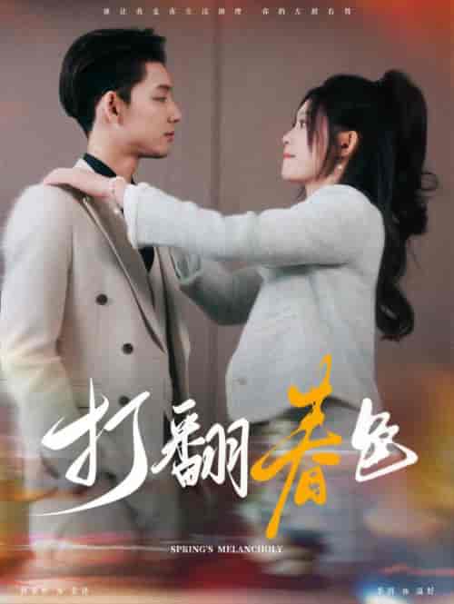 打翻春色（99集全）林永炬＆四一-搜外项目网