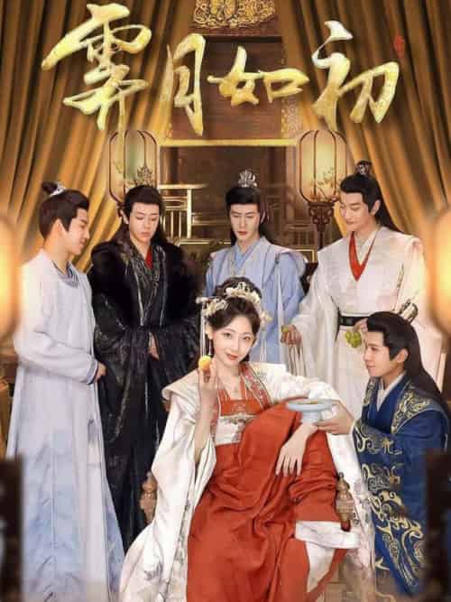 霁月如初（92集全）纪俊良＆李田园-搜外项目网